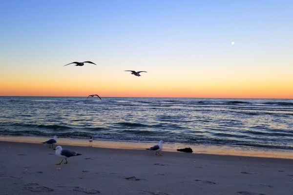 Vanderbilt Beach