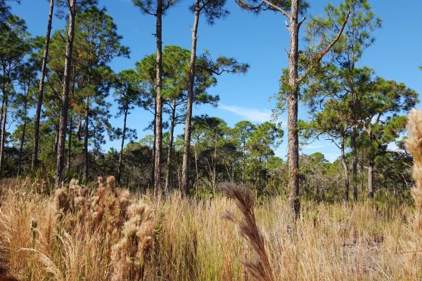 Gordon River Greenway