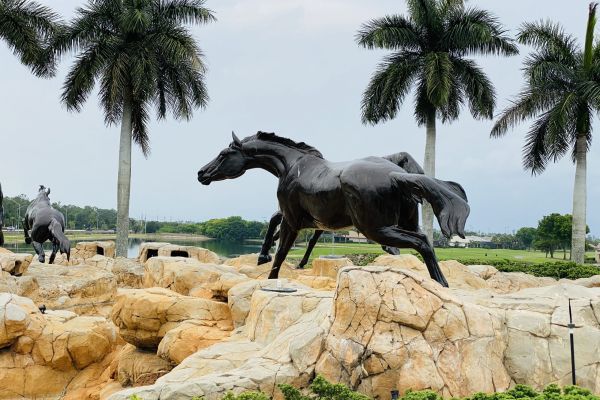 Lely Resort