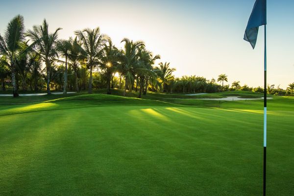 Best Golf Courses in Naples
