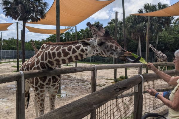 Naples Zoo at Caribbean Gardens